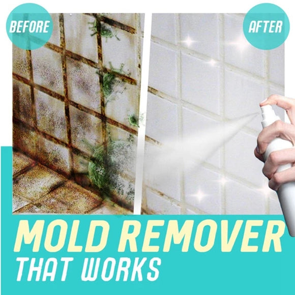 Instant Mould & Mildew Remover Kitchen Spray Cleaner